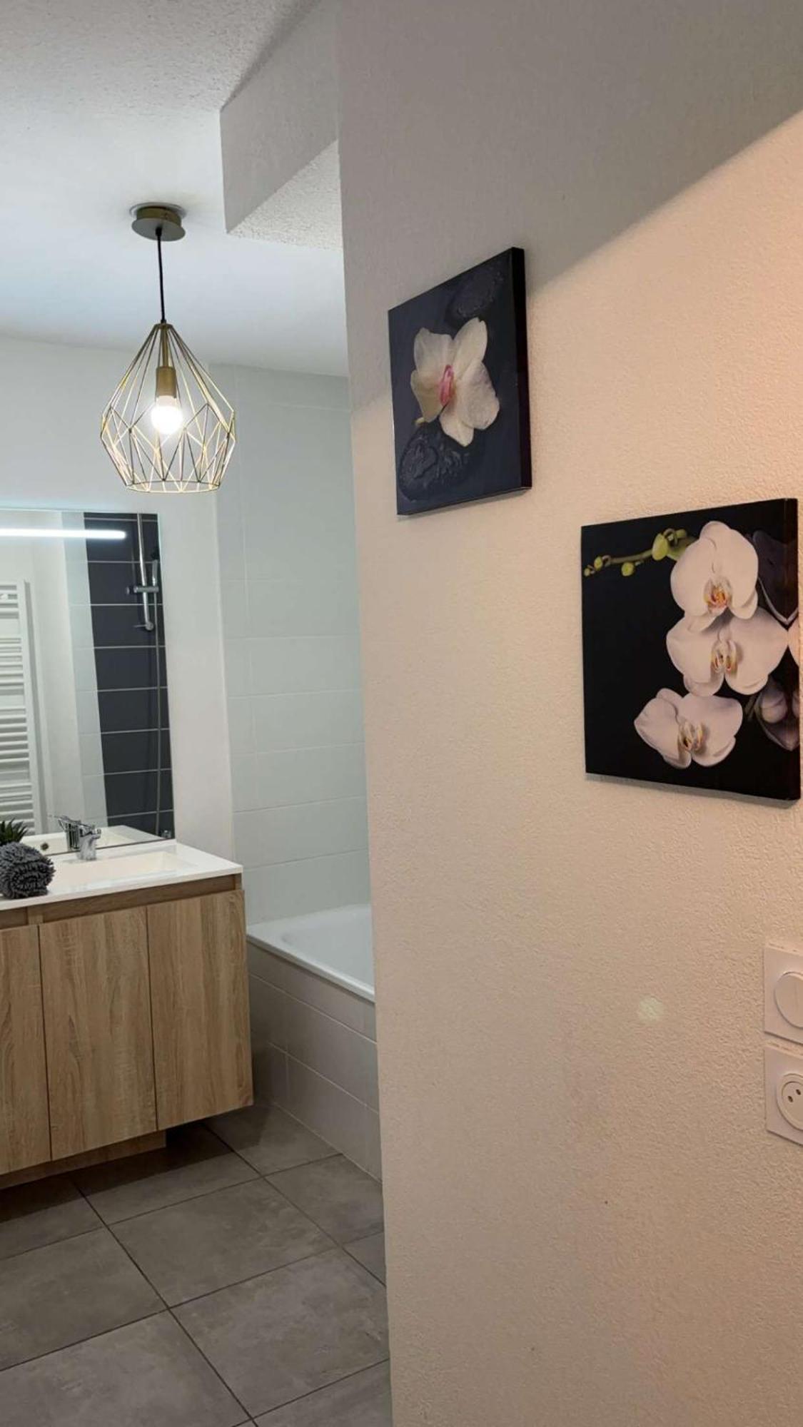 Suite Jacuzzi "Spa Privatif " Appartement Jacuzzi Toulouse Exterior photo
