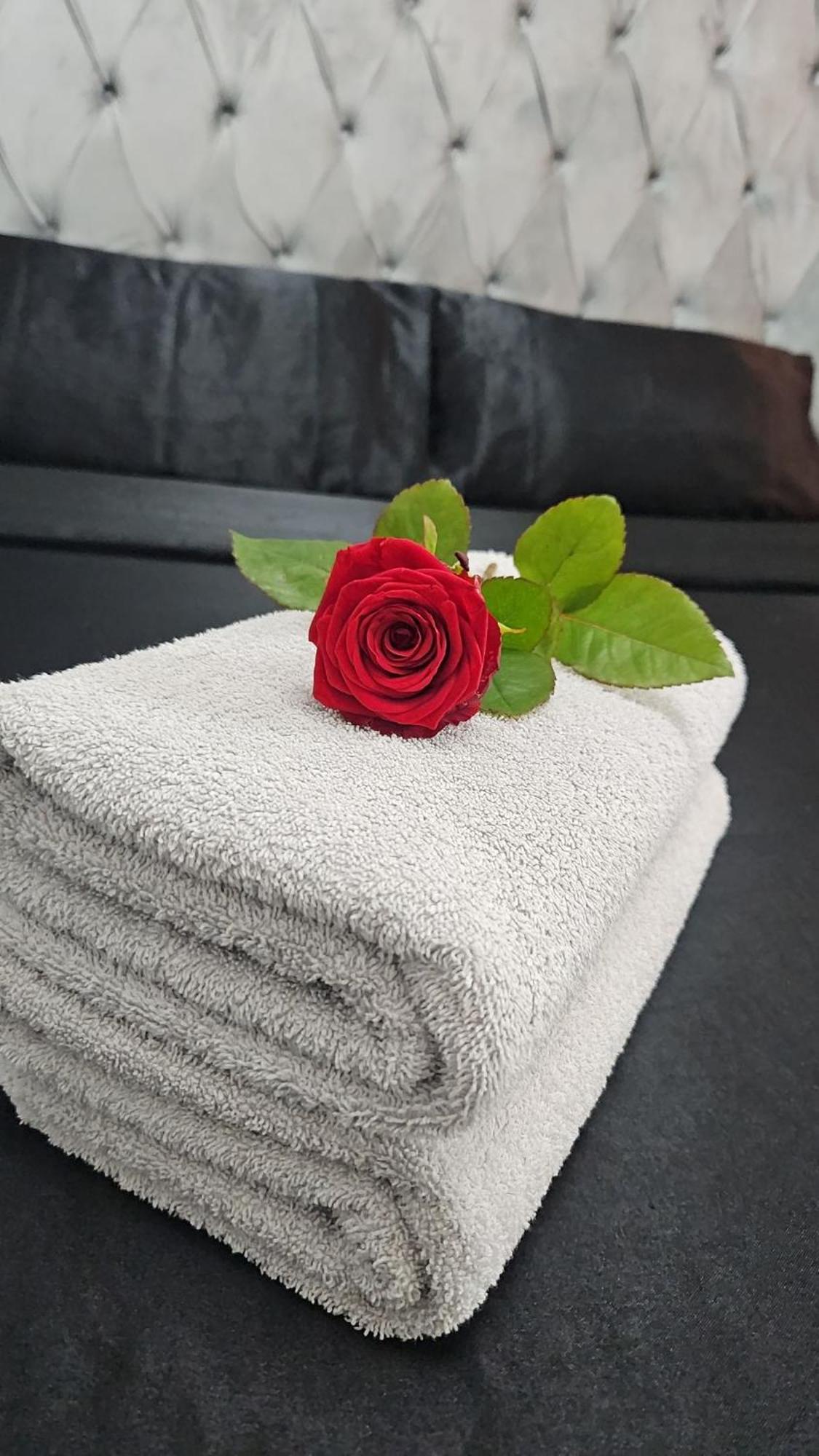 Suite Jacuzzi "Spa Privatif " Appartement Jacuzzi Toulouse Exterior photo